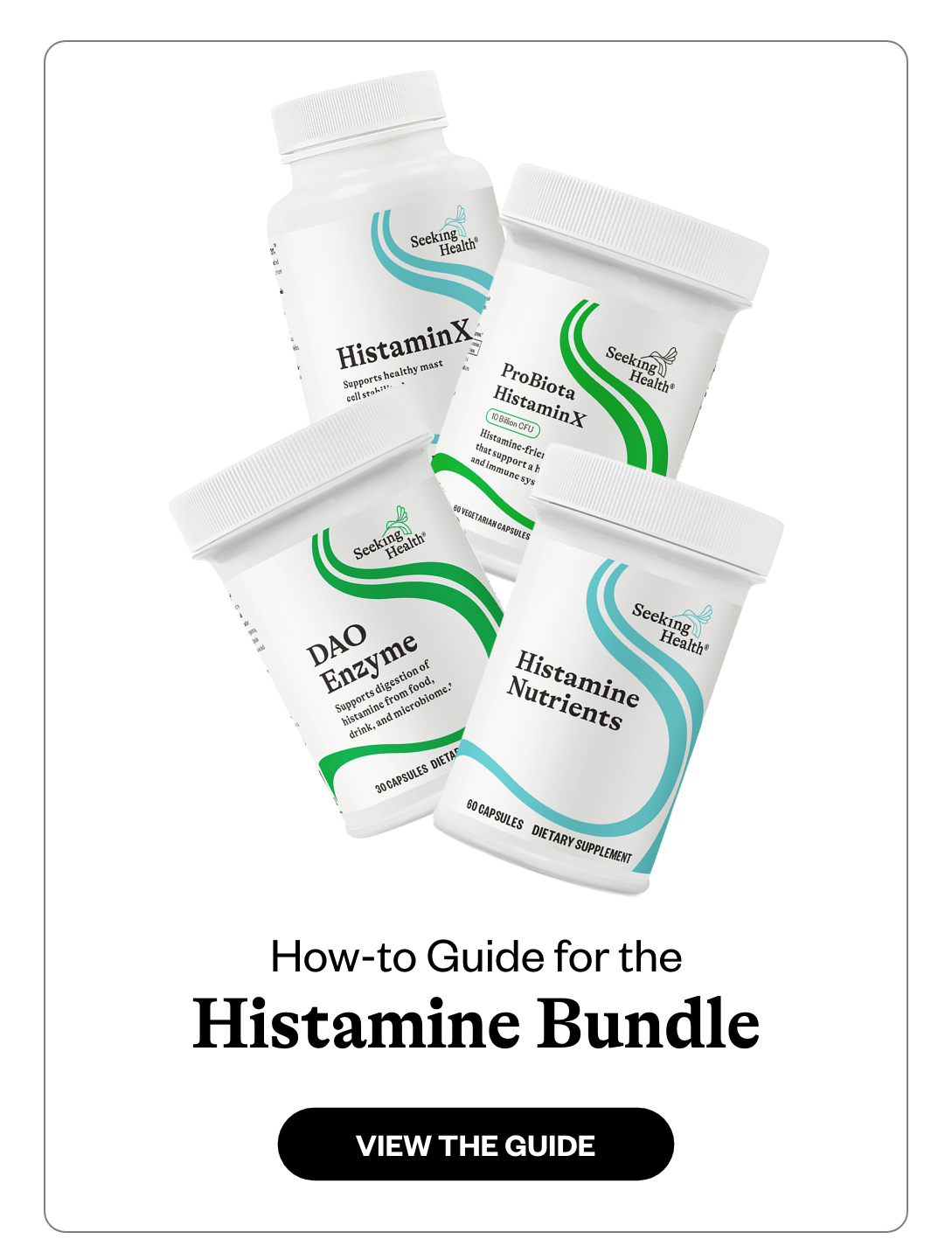 Guide Image