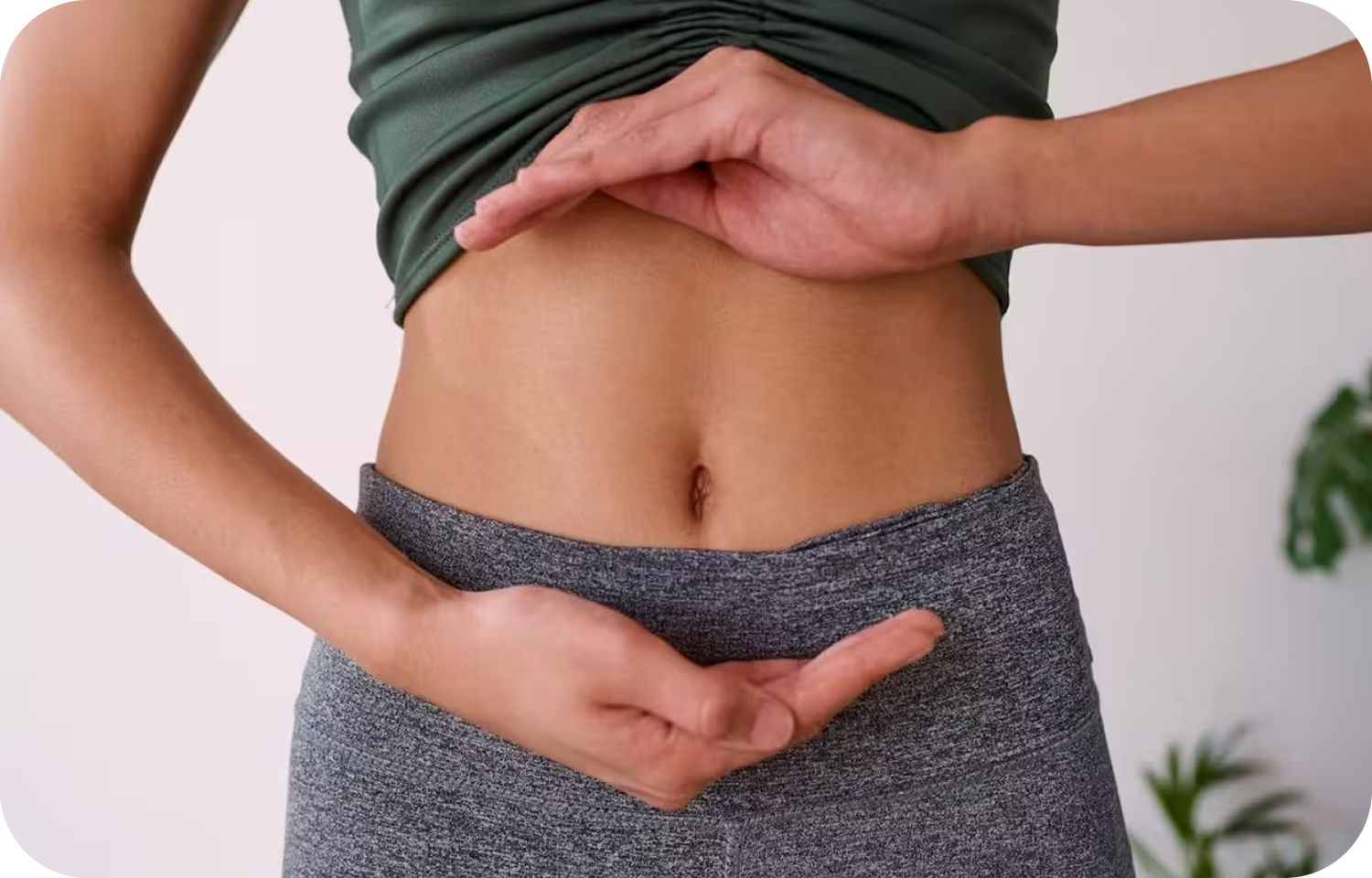 Digestion Guide