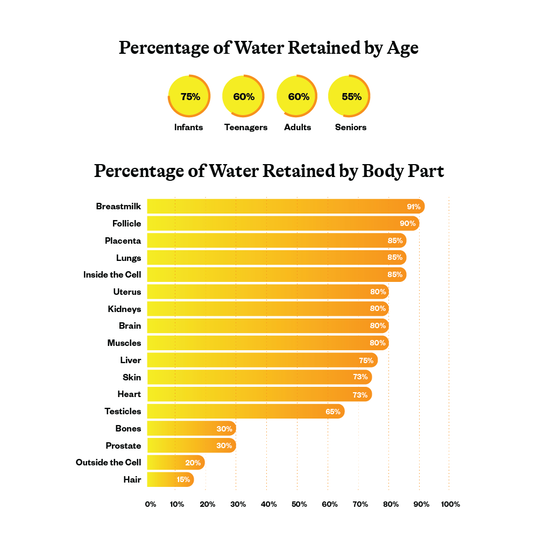 image of water retained by page graph