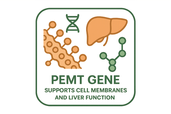 PEMT Gene